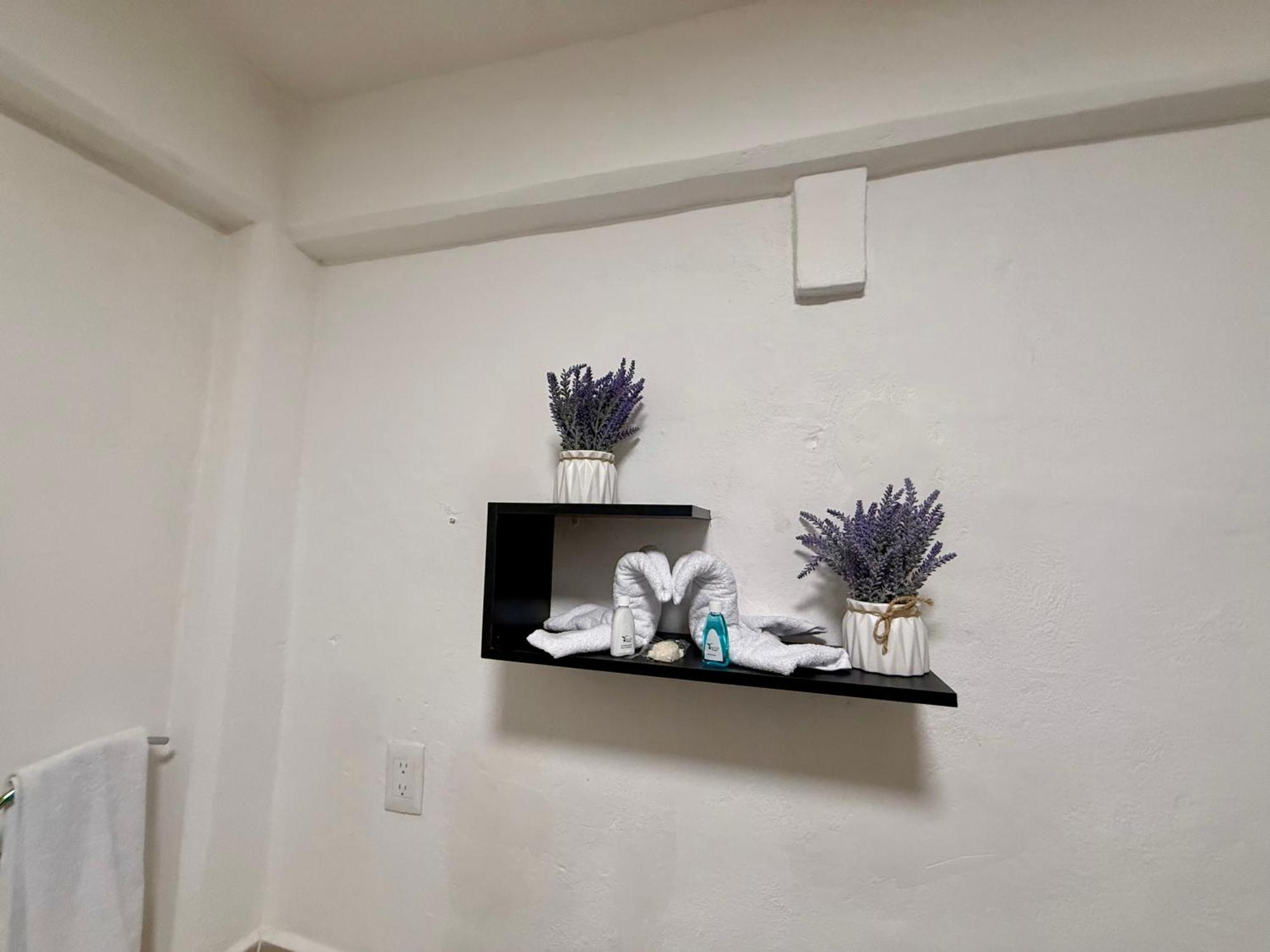 Casa Tortuga 5Th Ave Hotel Плая дел Кармен Екстериор снимка