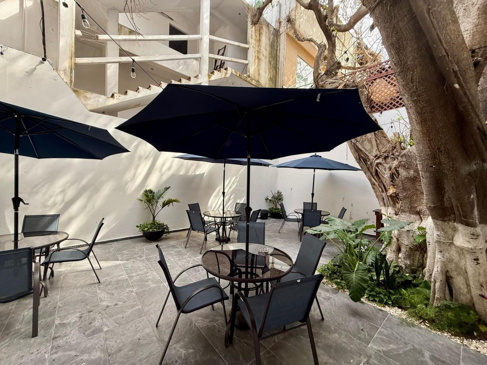 Casa Tortuga 5Th Ave Hotel Плая дел Кармен Екстериор снимка